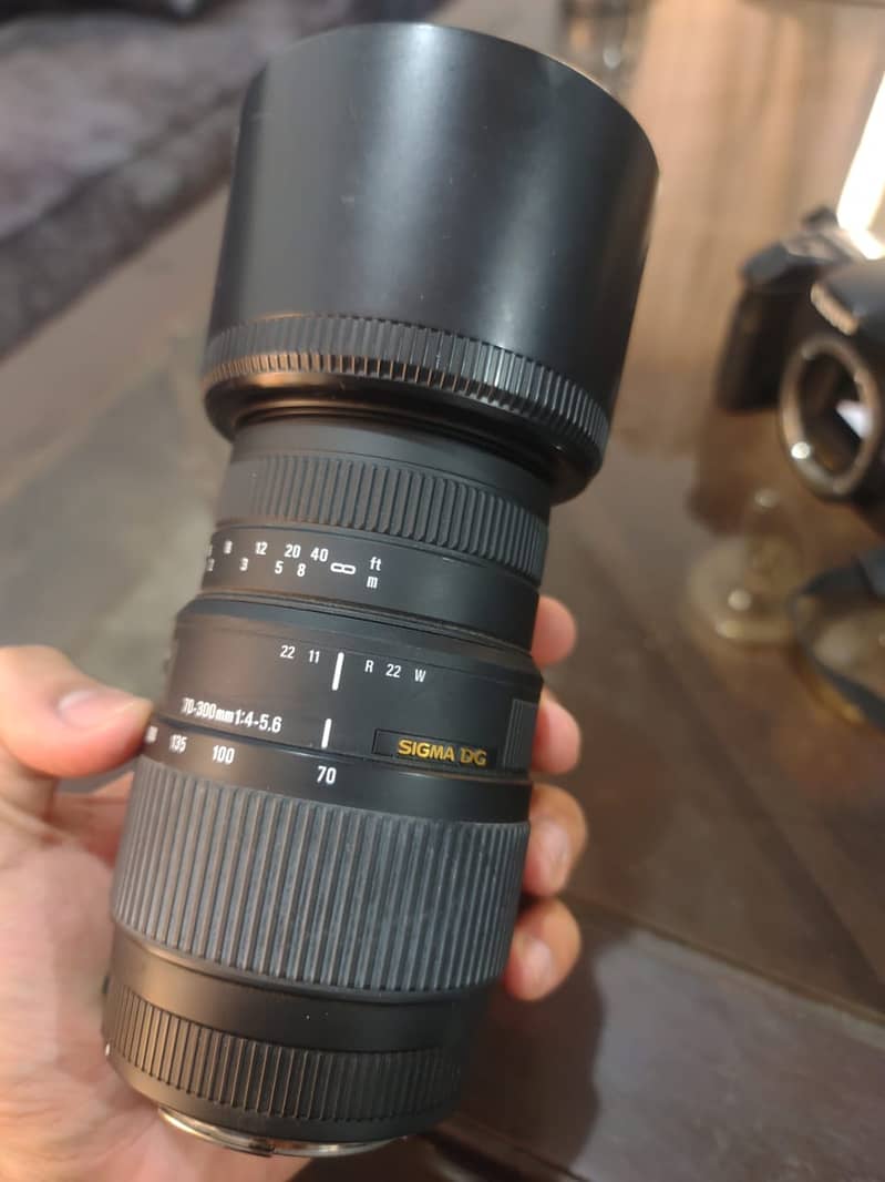Sigma 70-300mm f/4-5.6 Macro Lens 0