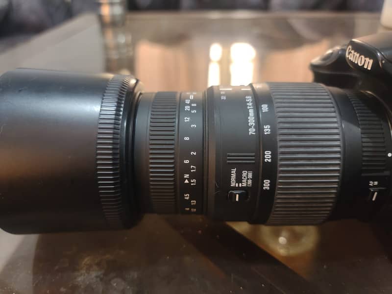 Sigma 70-300mm f/4-5.6 Macro Lens 1