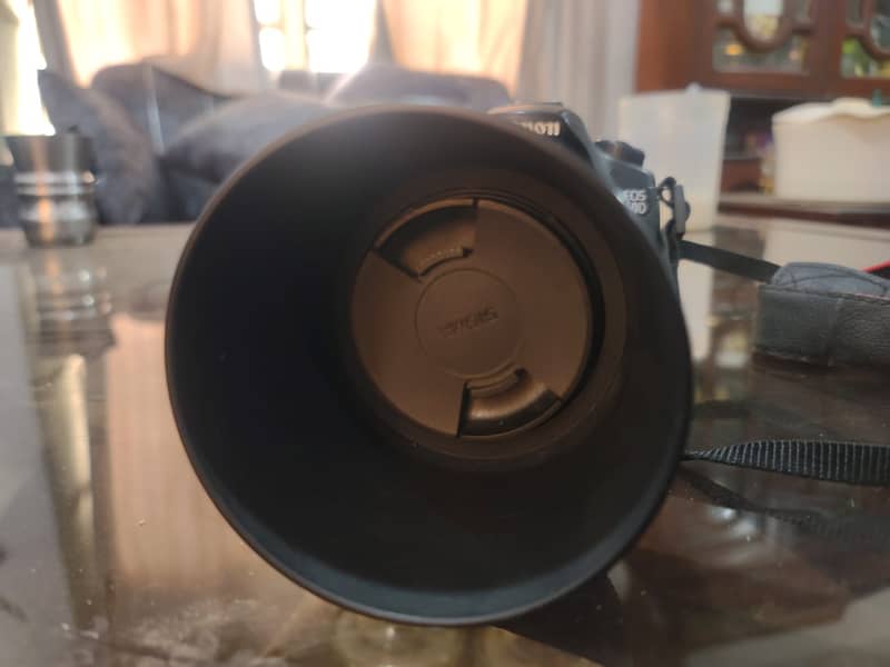 Sigma 70-300mm f/4-5.6 Macro Lens 2