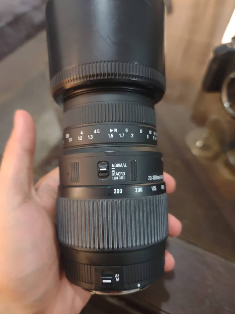 Sigma 70-300mm f/4-5.6 Macro Lens 3