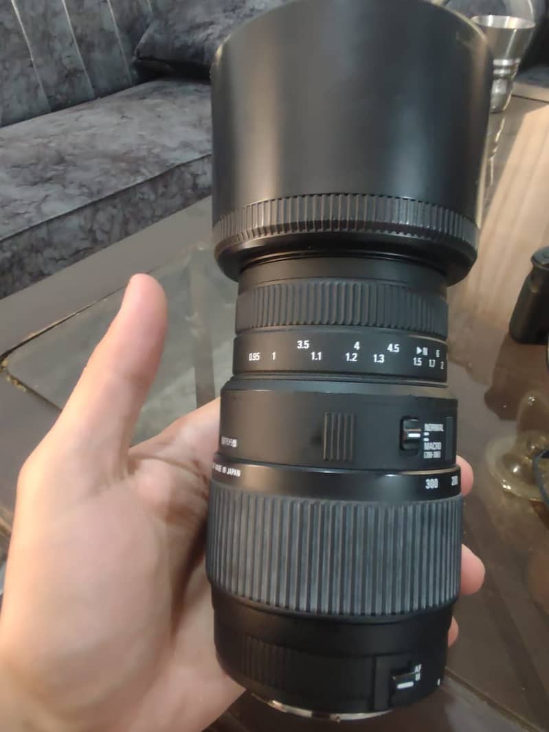 Sigma 70-300mm f/4-5.6 Macro Lens 4