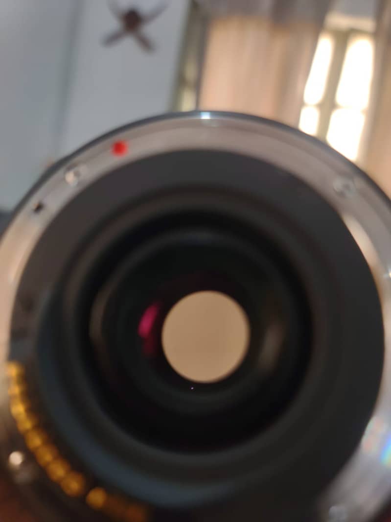 Sigma 70-300mm f/4-5.6 Macro Lens 5