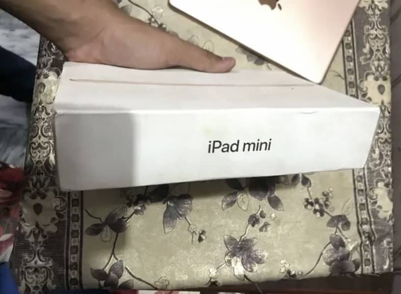 Ipad mini 5 10/10 2