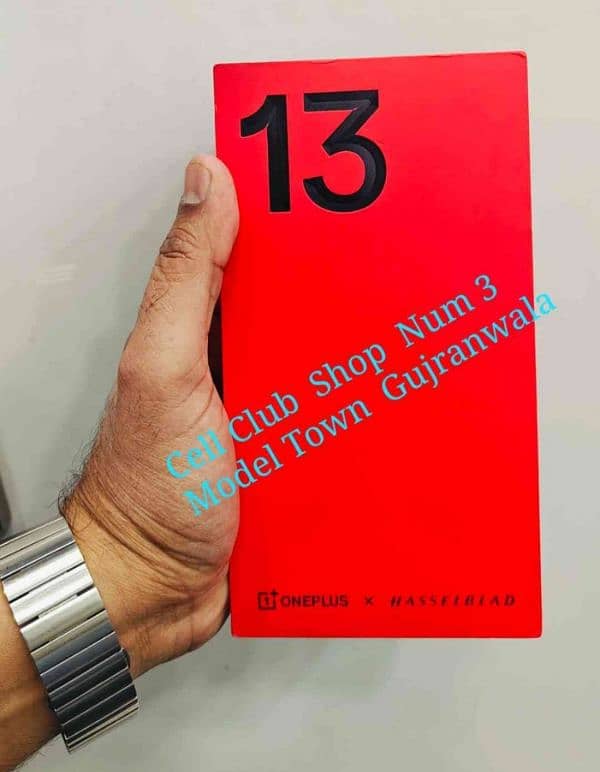 One Plus 13 Dual Sim 6