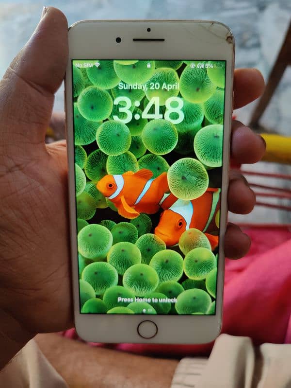 IPhone 8+ 64GB 0