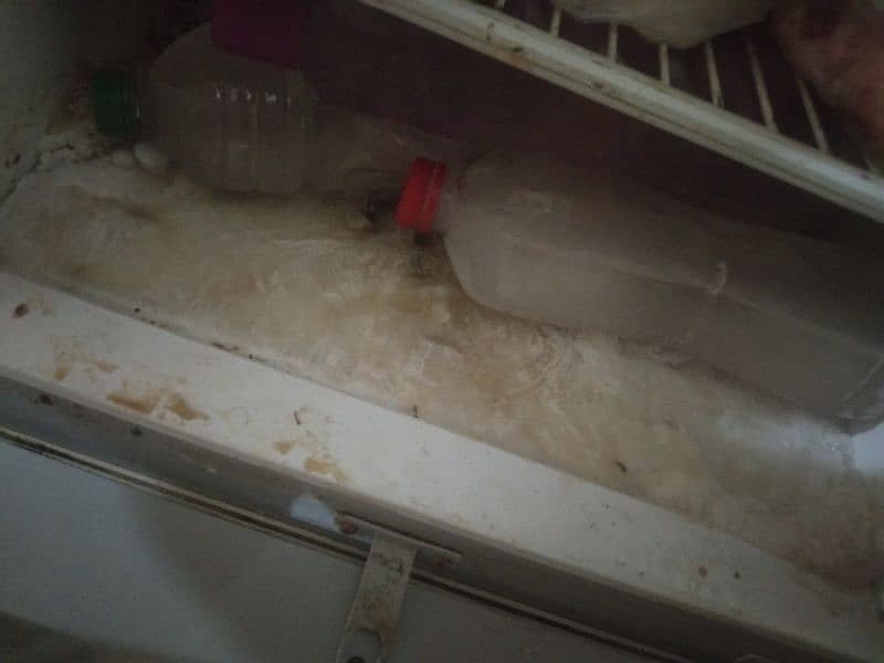 PEL Refrigerator Medium Size for Sale 3