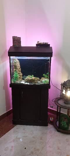 Fish Aquarium for Sale
