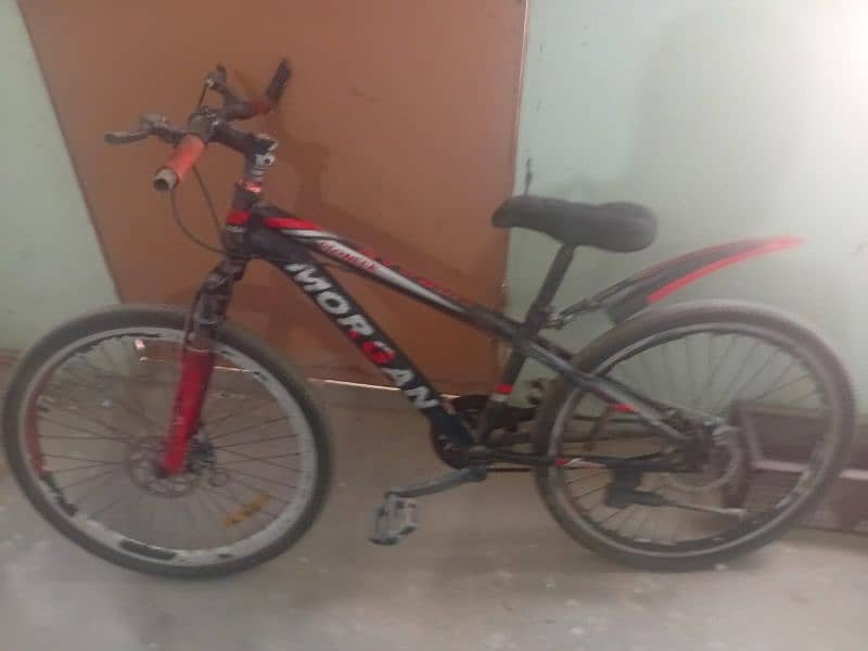 morgan cycle for adults 0