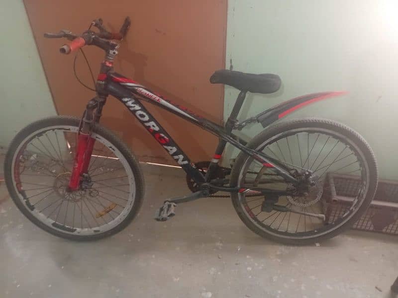 morgan cycle for adults 1