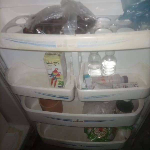 Waves frige and ferizer cool bank refrigerator 3