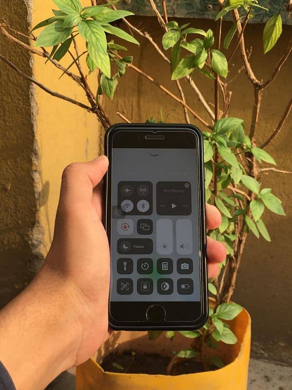 iphone 7 32GB Nonpta all ok 10v10 condition Exchange possible 2
