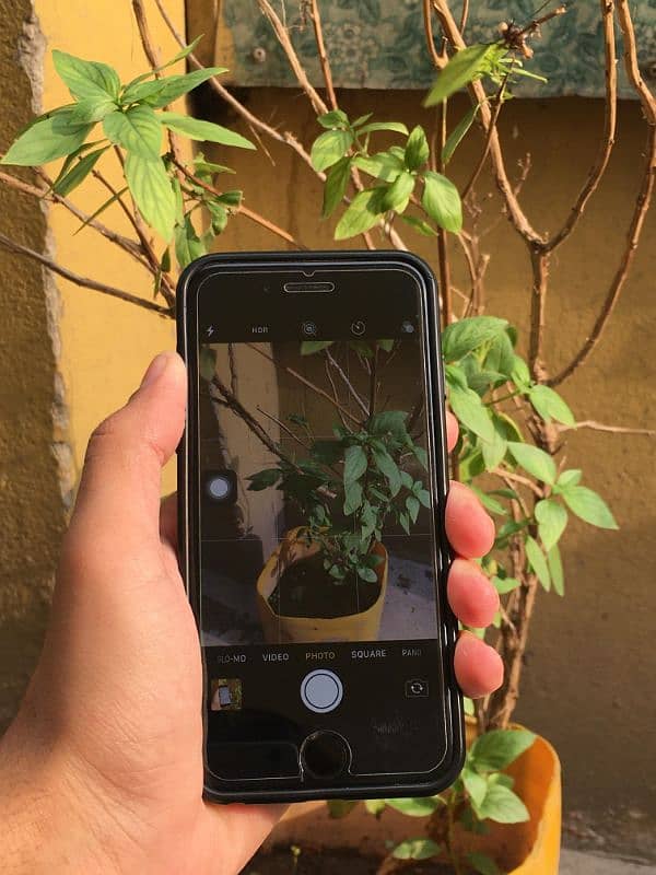 iphone 7 32GB Nonpta all ok 10v10 condition Exchange possible 4