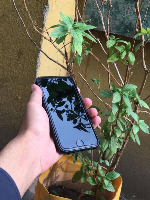 iphone 7 32GB Nonpta all ok 10v10 condition Exchange possible 8