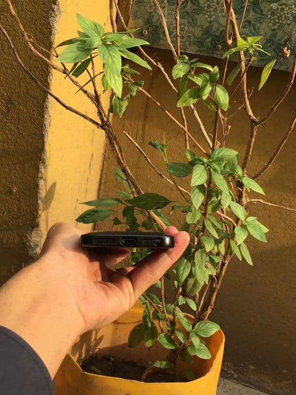 iphone 7 32GB Nonpta all ok 10v10 condition Exchange possible 10