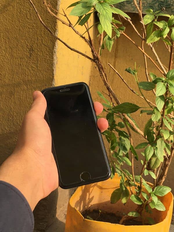 iphone 7 32GB Nonpta all ok 10v10 condition Exchange possible 12