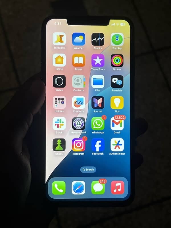 iPhone XS Max Dual PTA approve 256 Gb 3