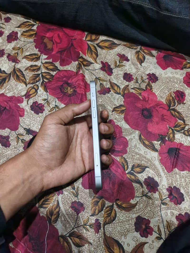 IP 12 0