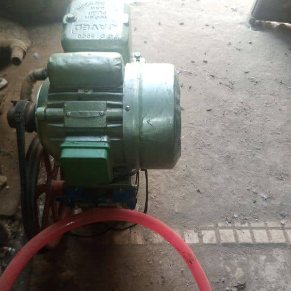Donkey Pump 4