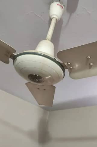 Royal Deluxe Fan 56 inch 0