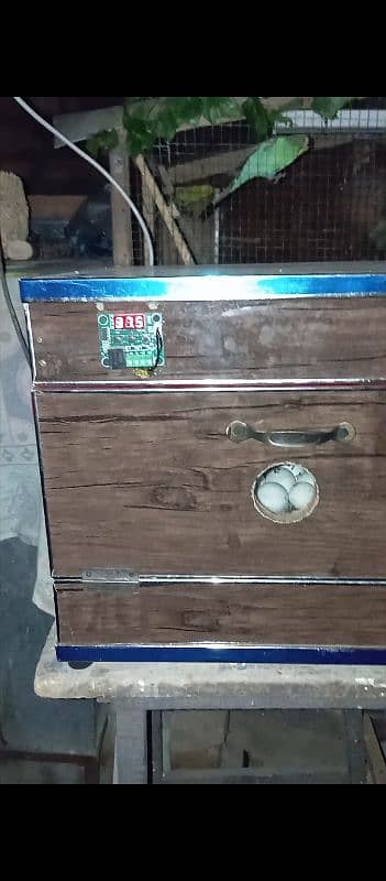 Incubator 0
