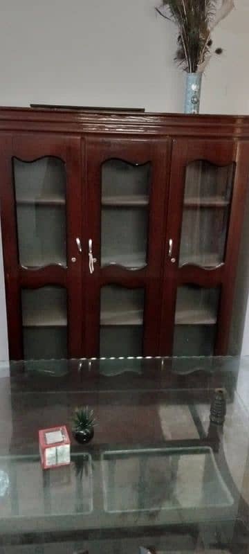 mirror showcase 3