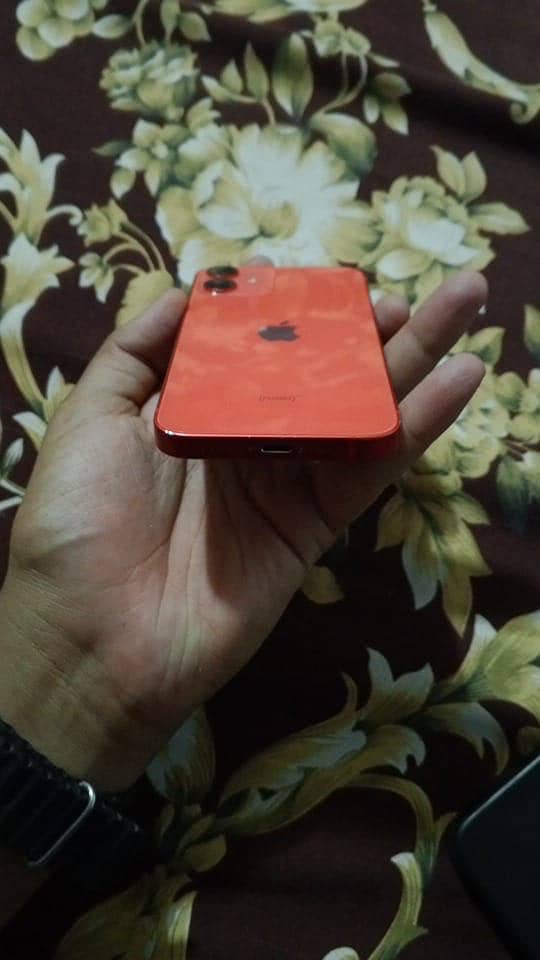 iphone 12 mini waterpack factory unlock 1