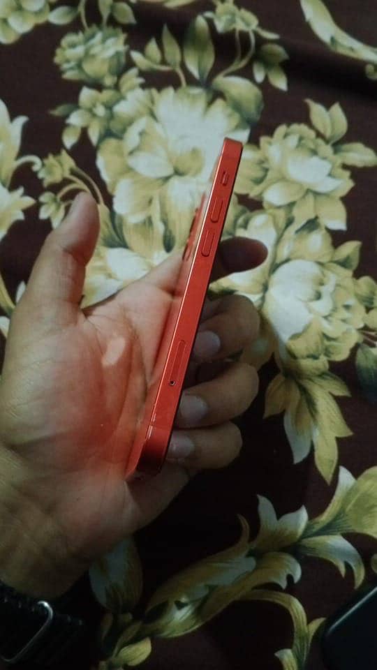 iphone 12 mini waterpack factory unlock 3