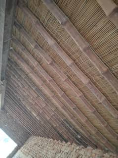 poultry shed roof for sale