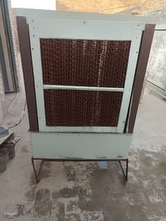 12v