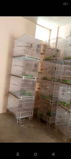 birds cages