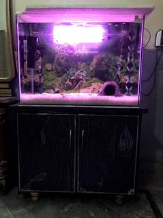 Complete Aquarium Setup with Accessories & Wooden Stand"