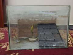 Aquarium for fishes