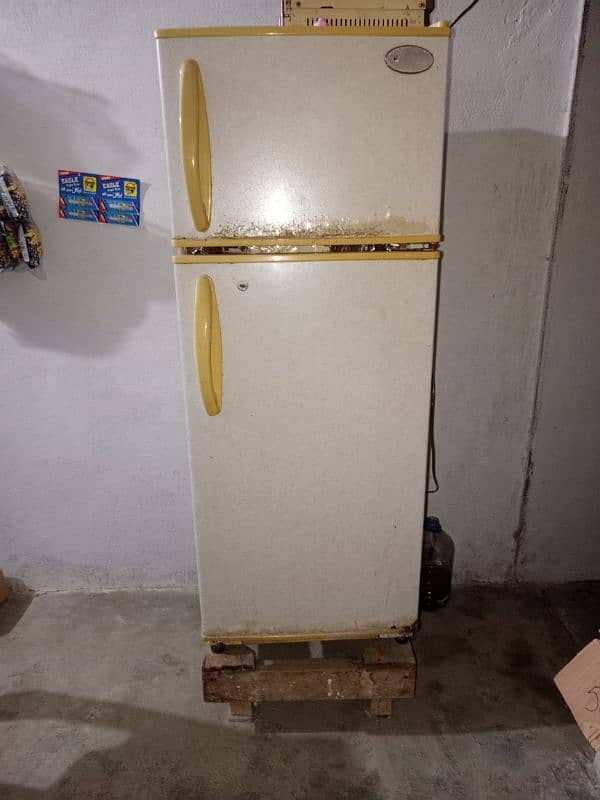 Singer Fridge Medium Size 0
