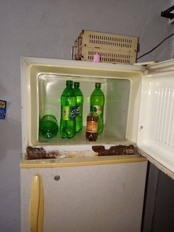 Singer Fridge Medium Size 3