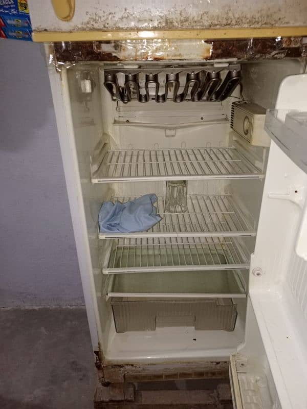 Singer Fridge Medium Size 4