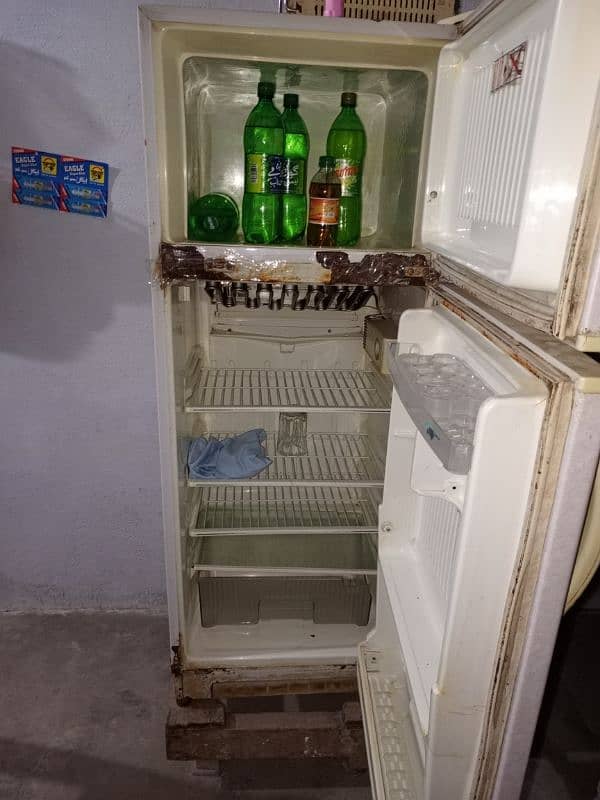 Singer Fridge Medium Size 6