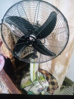 RADO FAN (Small size)