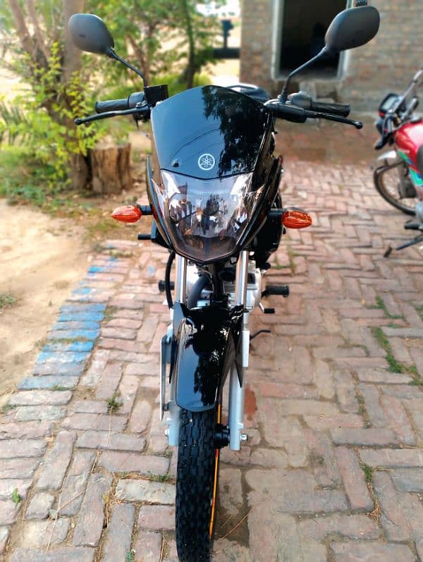 Yamaha YBR 125 1