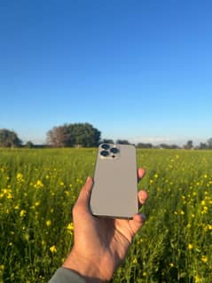 15 promax jv 256gb 95bh natural titanium contact 03263818011