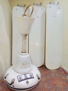 Asia Ceiling Fan