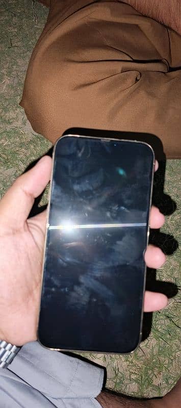 12 pro max 1 sim working 3