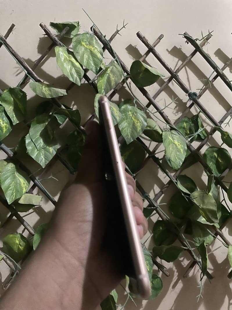 8 Plus WaterPack PTA APPROVED 0