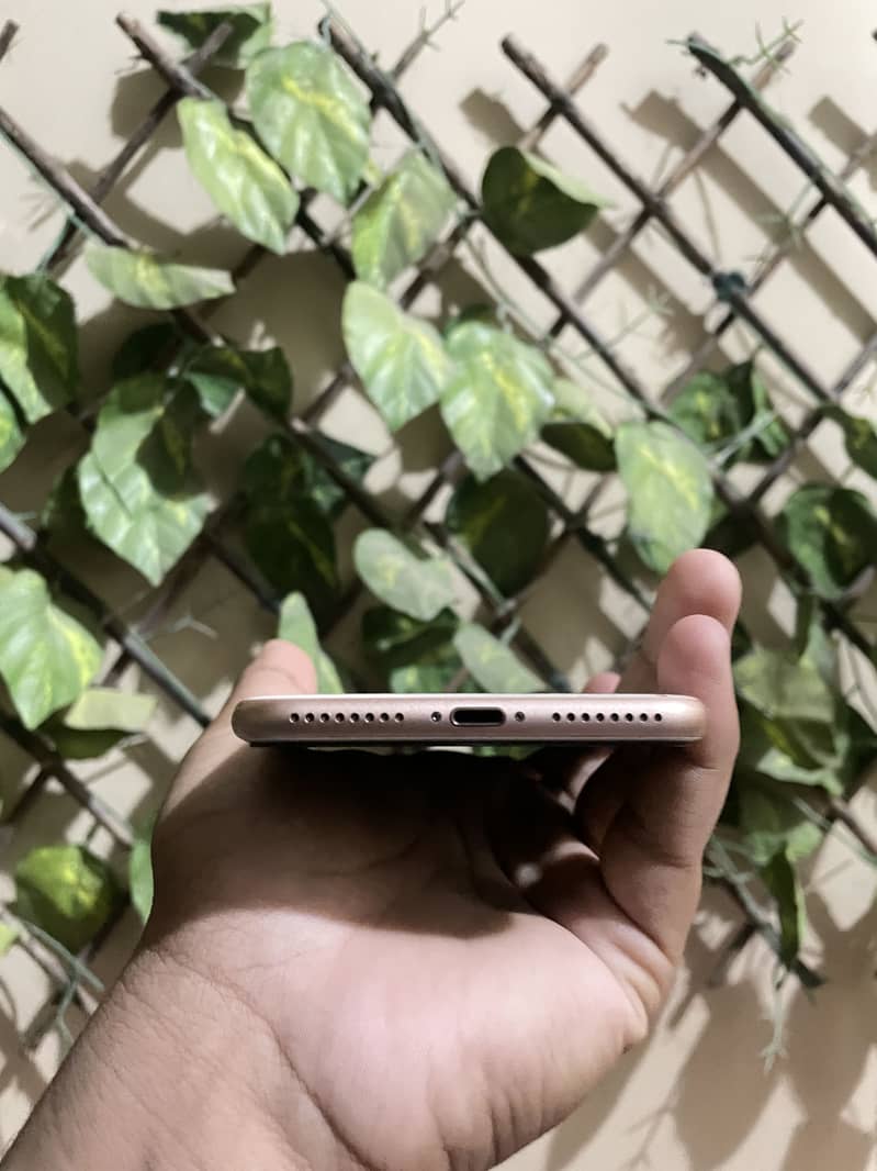 8 Plus WaterPack PTA APPROVED 4