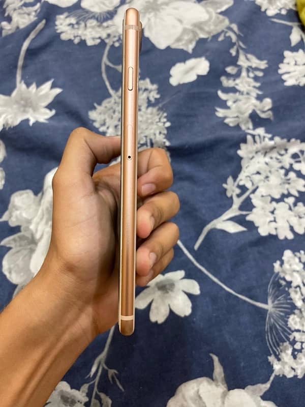 Iphone 8 Plus 3