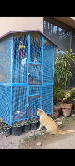 heavy cage strong wire made