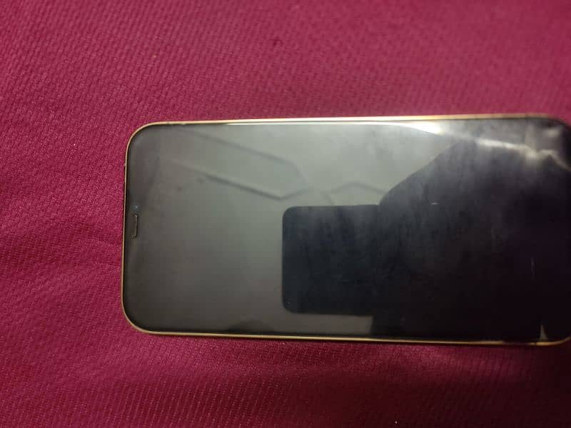 Iphone 12 Pro Max 1