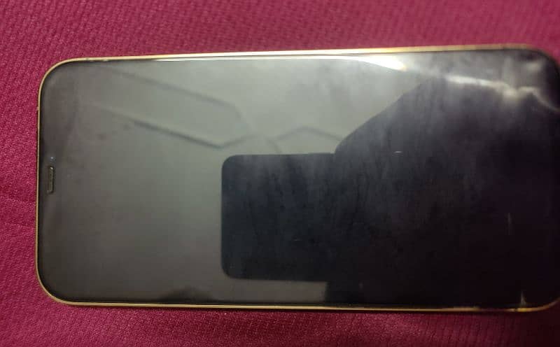 Iphone 12 Pro Max 3