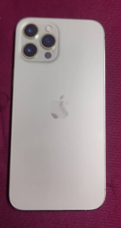 Iphone 12 Pro Max 10