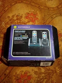 MOTOROLA
