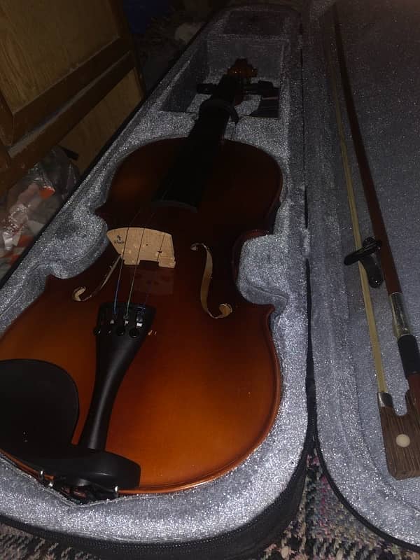 violin 10/10 0